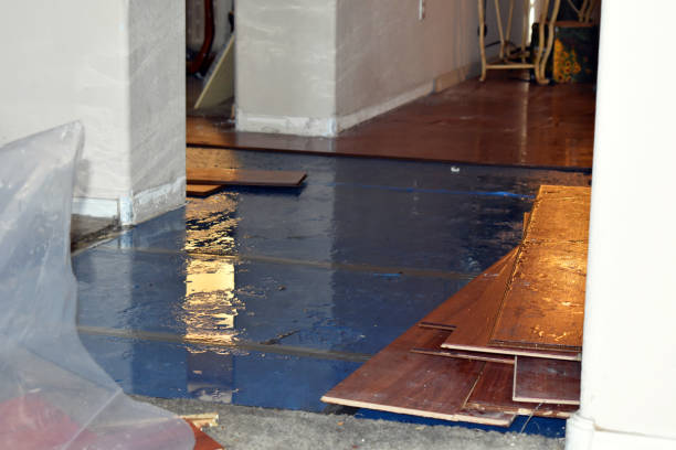Professional Water Damage Restoration technician working in Hudson, FL